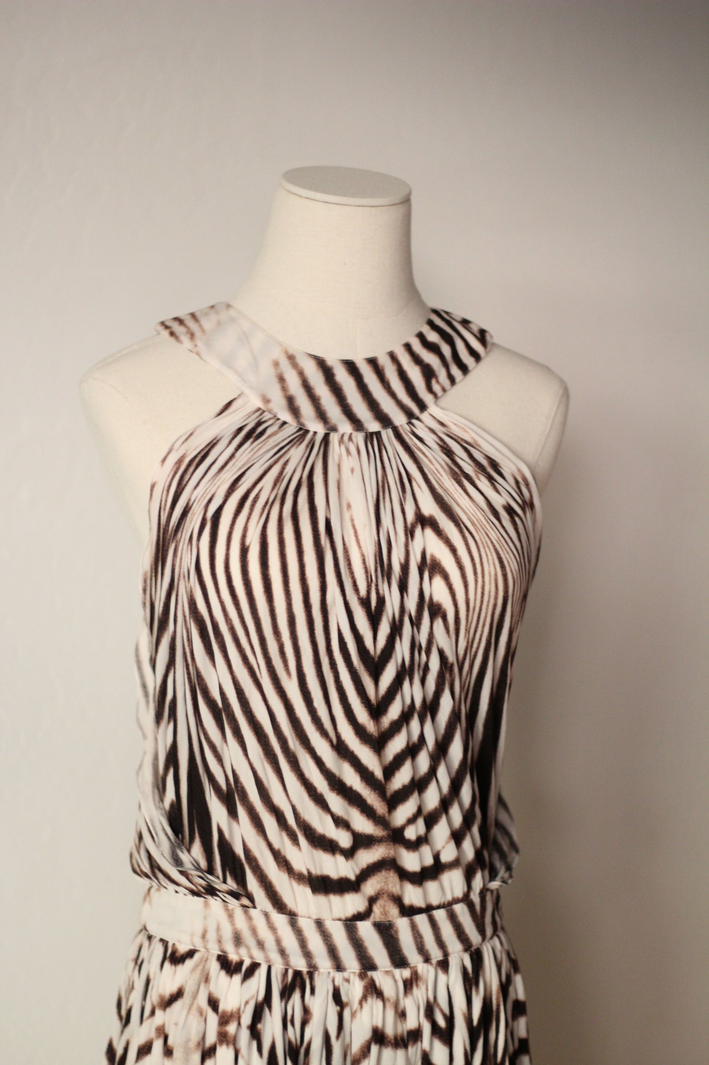 Roberto Cavalli Spring Summer 2007 Zebra Print Mini Dress
