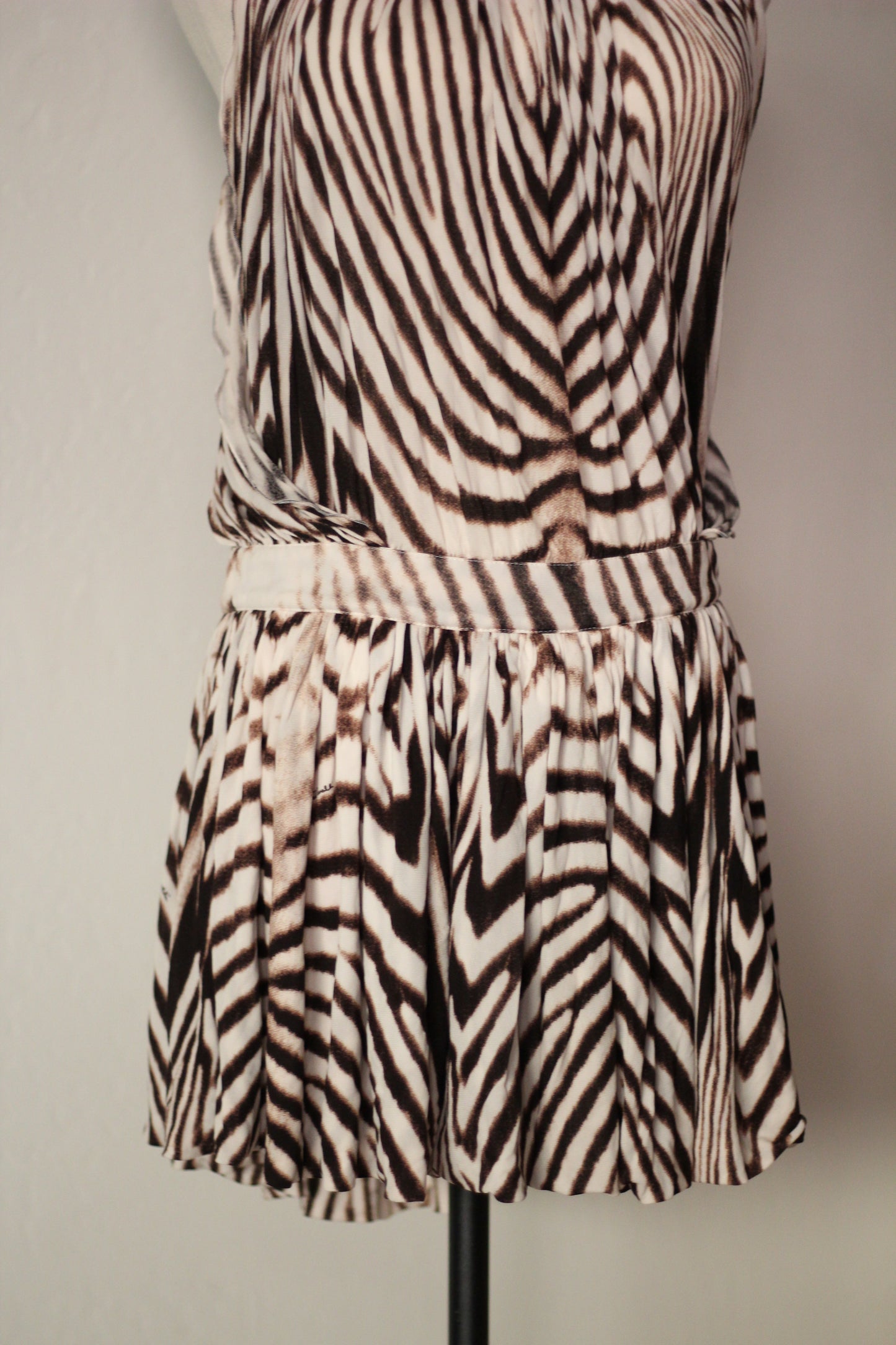 Roberto Cavalli Spring Summer 2007 Zebra Print Mini Dress