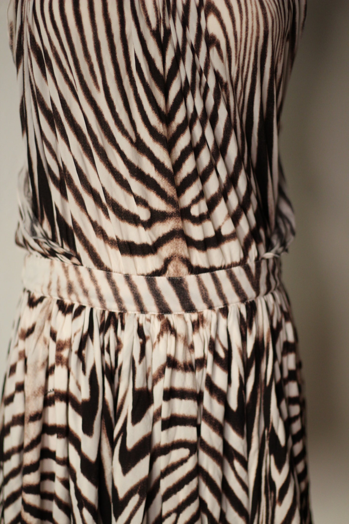 Roberto Cavalli Spring Summer 2007 Zebra Print Mini Dress