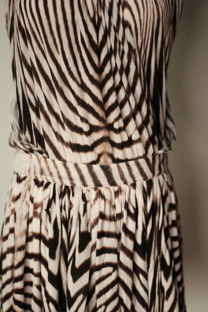 Roberto Cavalli Spring Summer 2007 Zebra Print Mini Dress