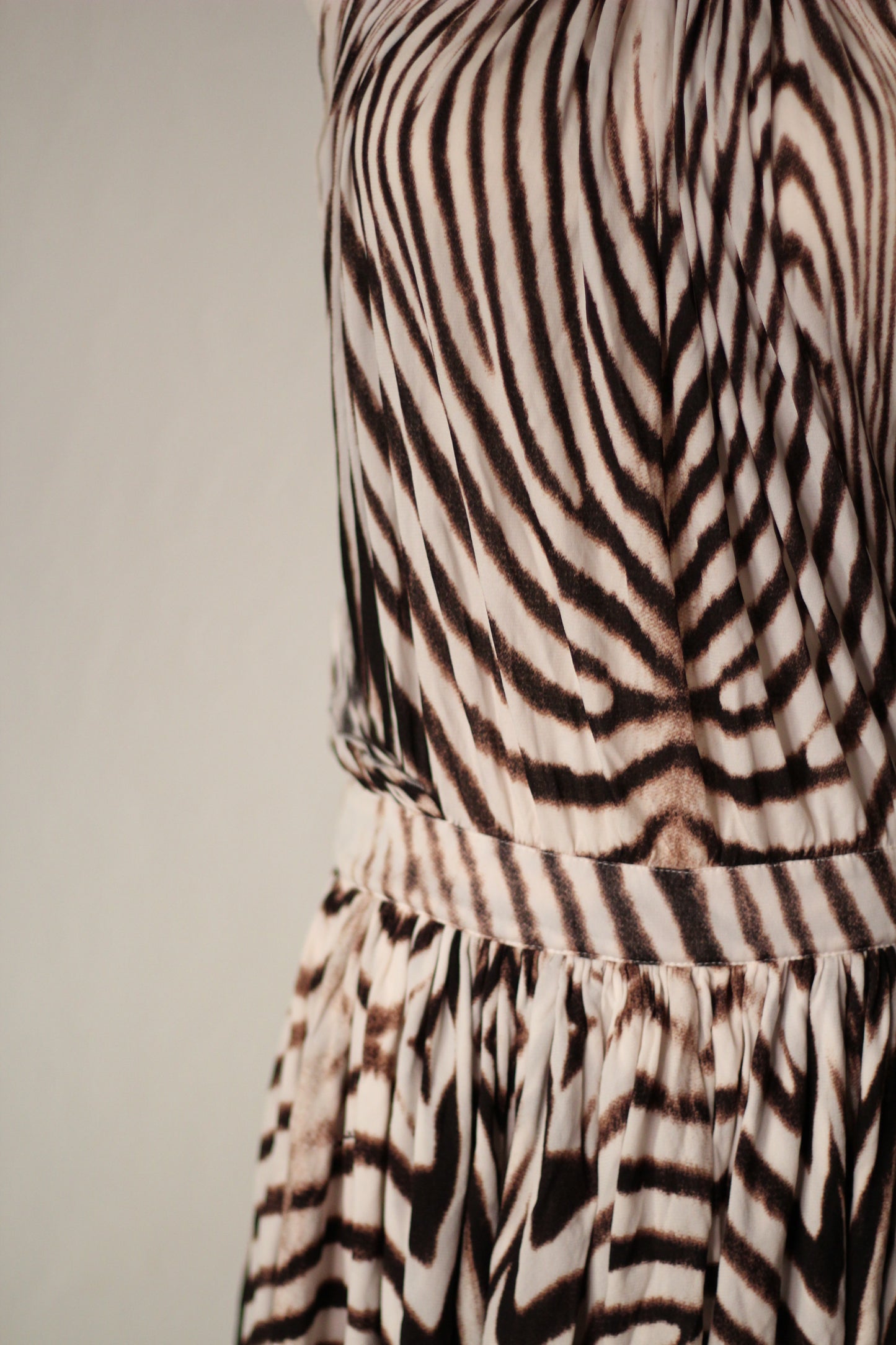 Roberto Cavalli Spring Summer 2007 Zebra Print Mini Dress