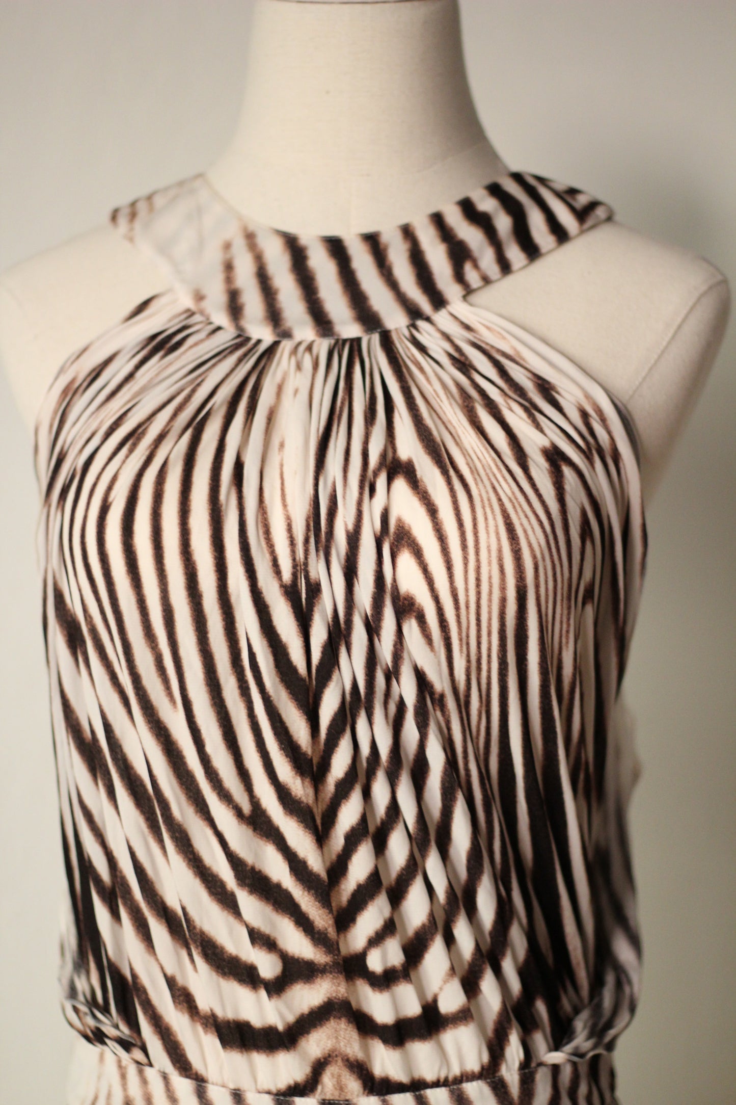 Roberto Cavalli Spring Summer 2007 Zebra Print Mini Dress