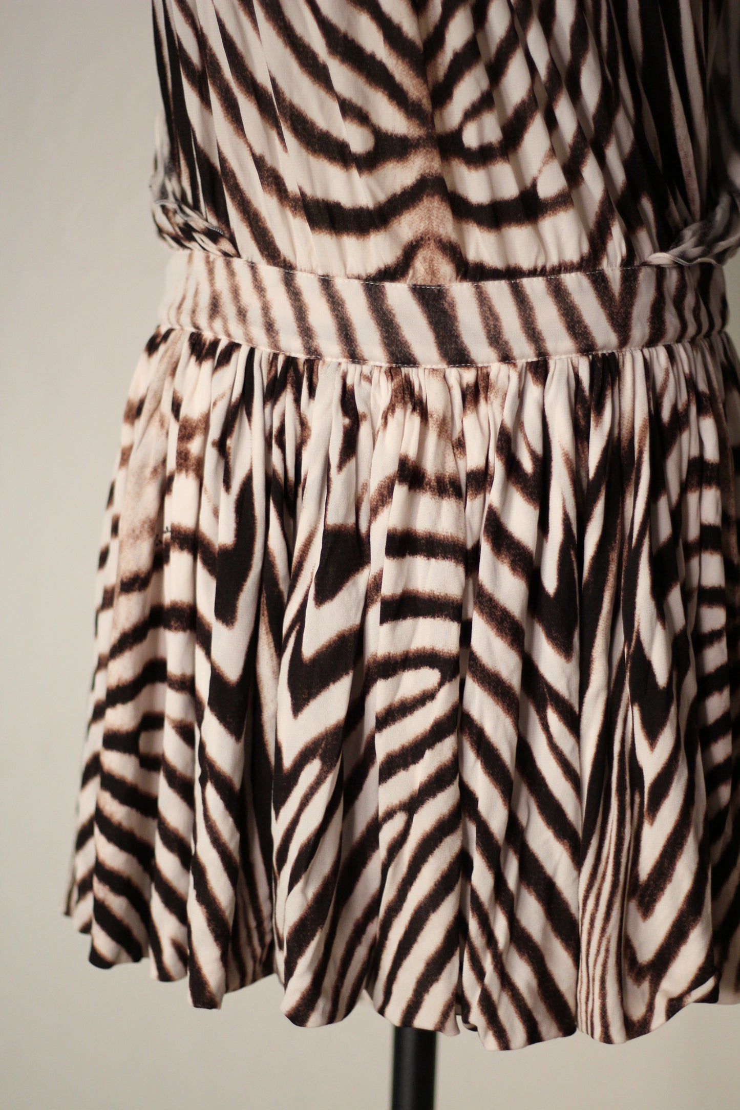 Roberto Cavalli Spring Summer 2007 Zebra Print Mini Dress