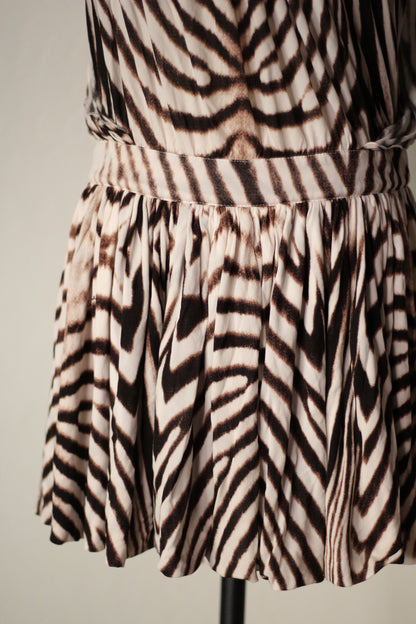 Roberto Cavalli Spring Summer 2007 Zebra Print Mini Dress