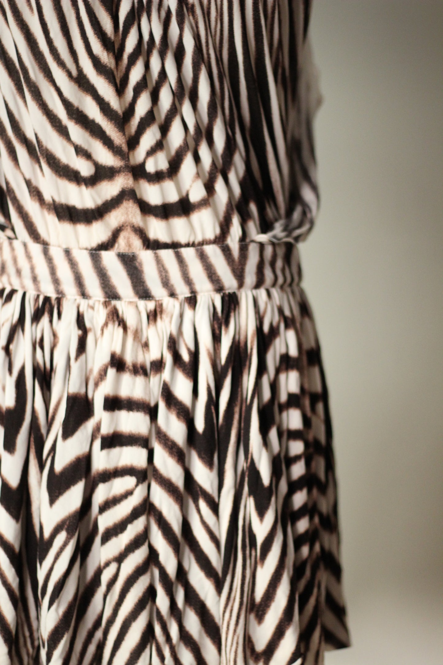 Roberto Cavalli Spring Summer 2007 Zebra Print Mini Dress