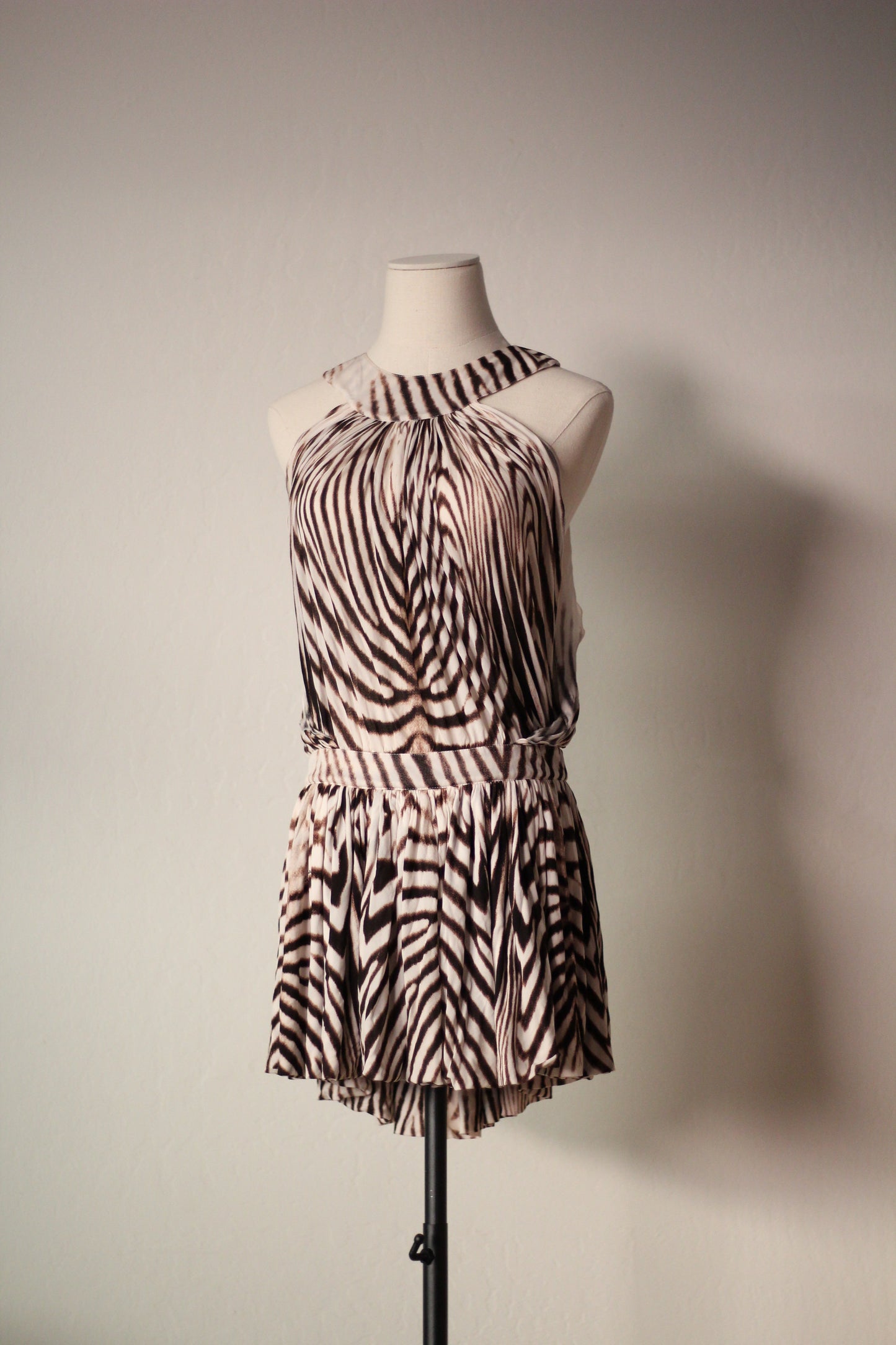 Roberto Cavalli Spring Summer 2007 Zebra Print Mini Dress