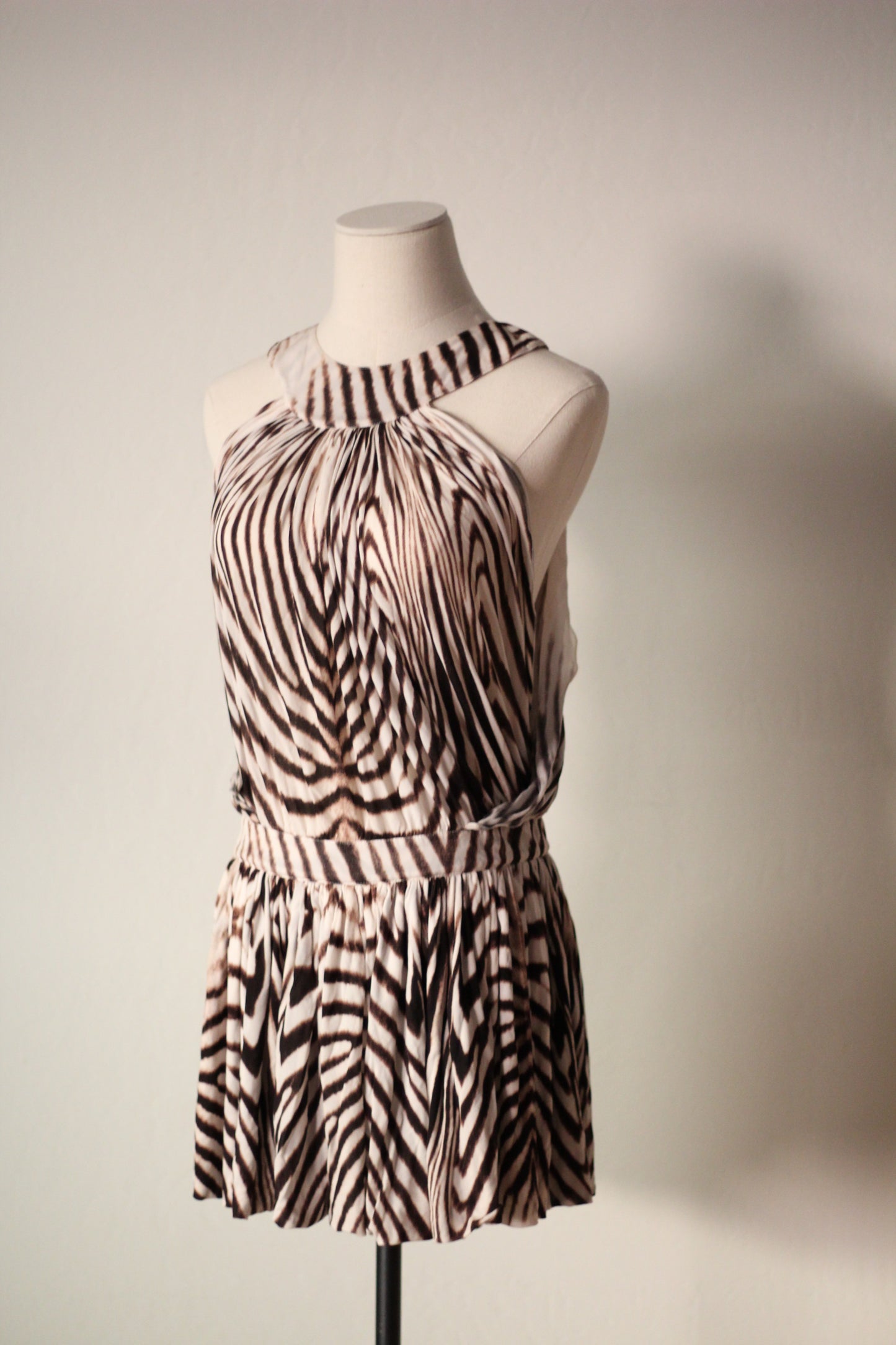 Roberto Cavalli Spring Summer 2007 Zebra Print Mini Dress